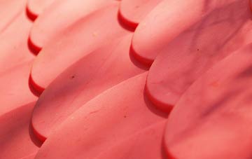 Cess plastic roof costs