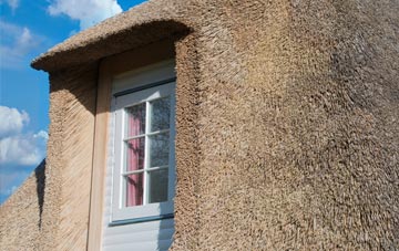 Cess thatch roof disadvantages