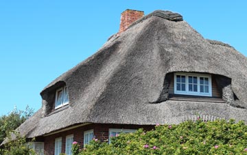 thatch roofing Cess, Norfolk